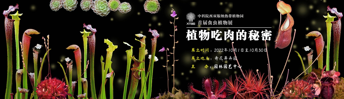 食虫展banner_副本.jpg